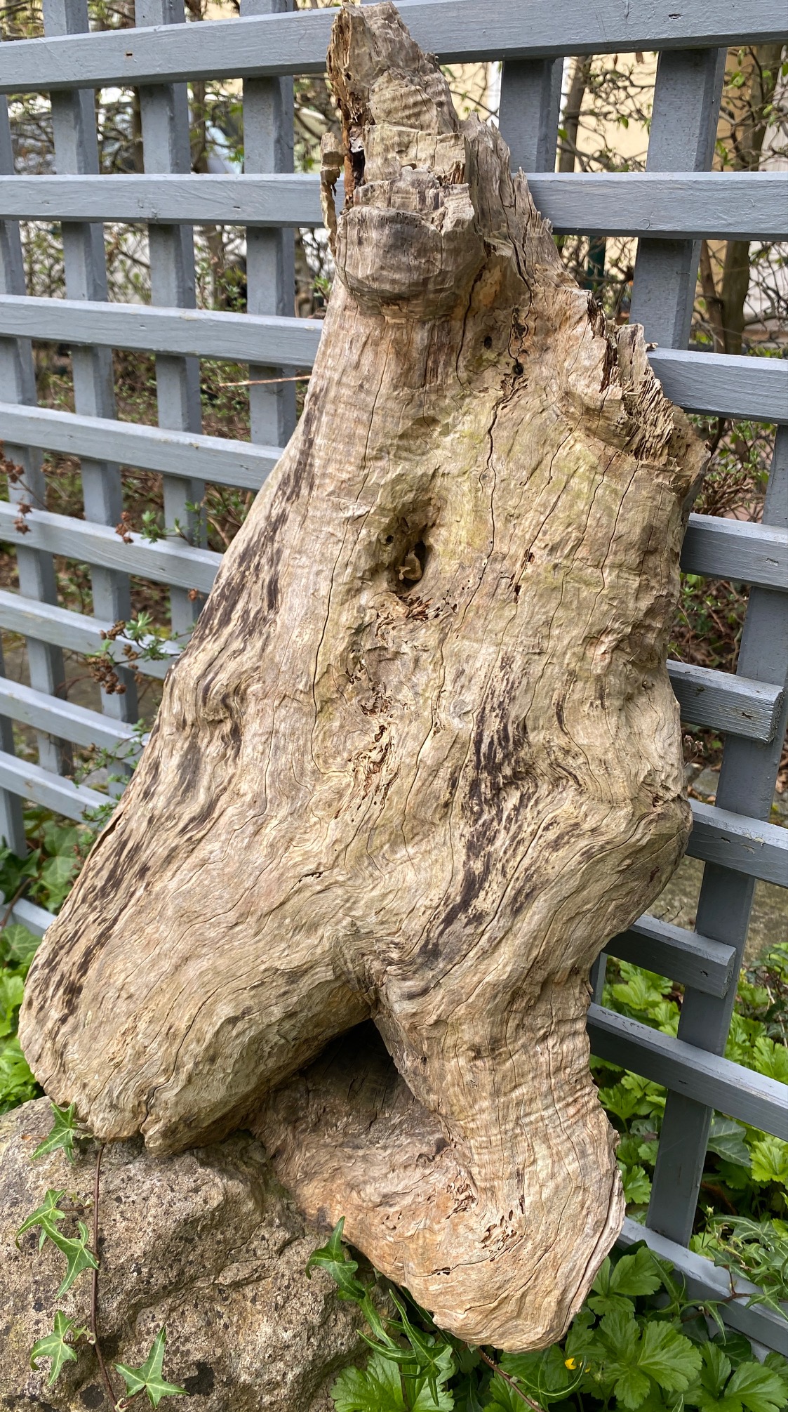 Tänzer