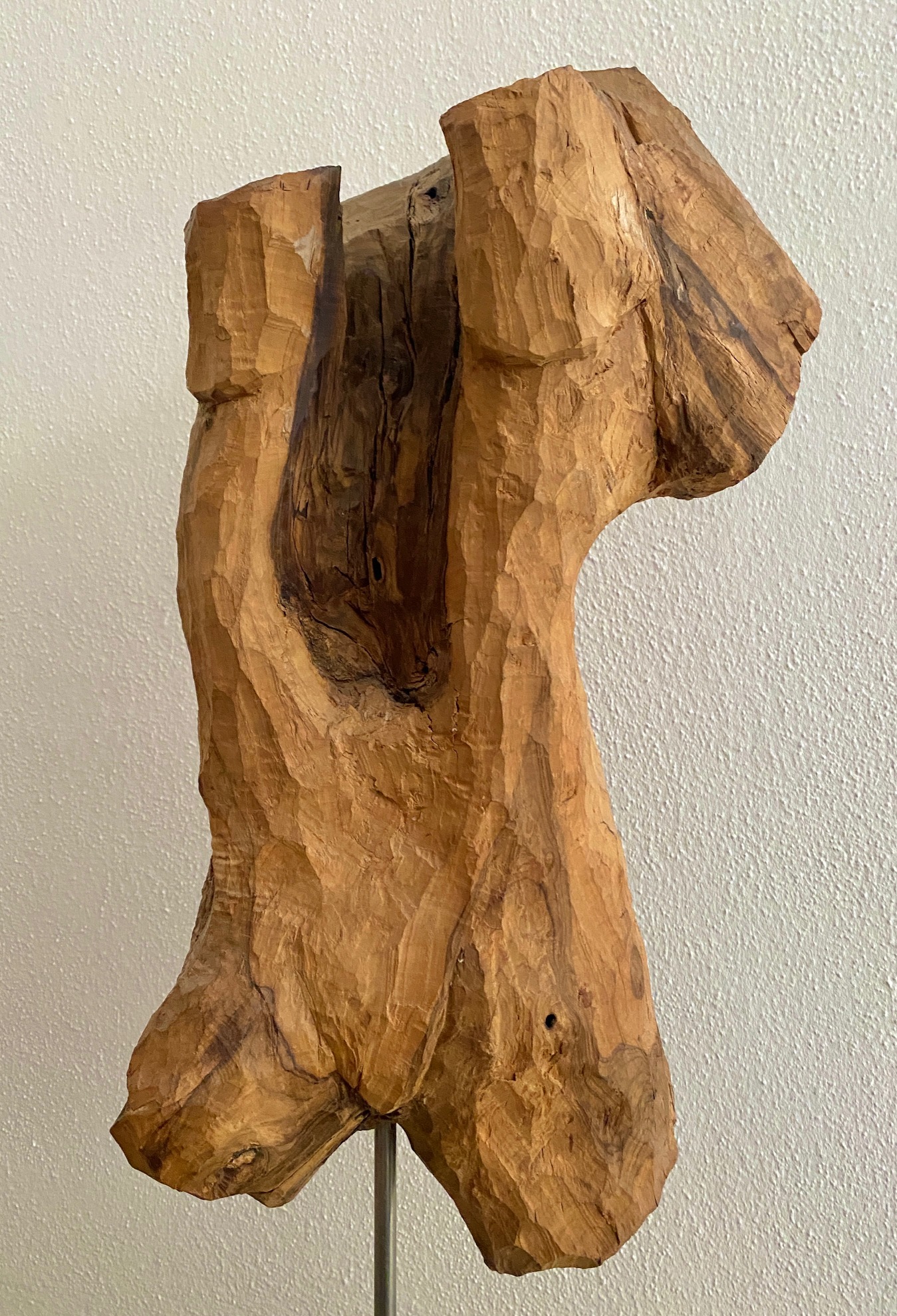 Torso
